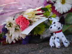 After Newtown, NRA Ready to Make 'Meaningful Contributions' - One ...